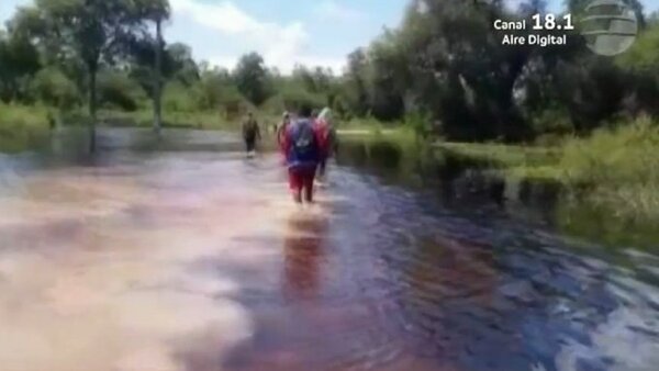 Indígenas caminan kilómetros en busca de alimentos en Concepción