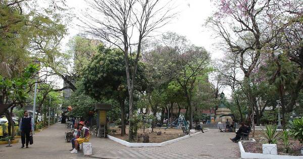 La Nación / Hogares de estrato socioeconómico bajo llegan al 55% en el Paraguay