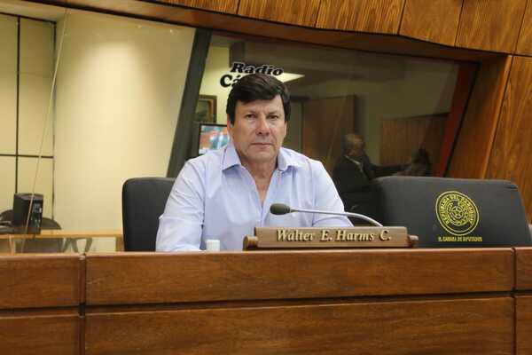 Harms: “La gente entiende que al Paraguay le conviene que Santi sea presidente” - ADN Digital