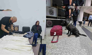 Perro policía detectó 14 kilos de cocaína que una joven pretendía llevar a España - OviedoPress