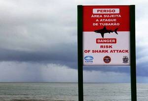 ¡Atenti los que viajan a las playas de Recife! Tiburones amputaron a bañistas