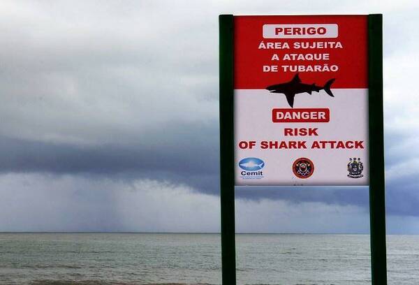 ¡Atenti los que viajan a las playas de Recife! Tiburones amputaron a bañistas
