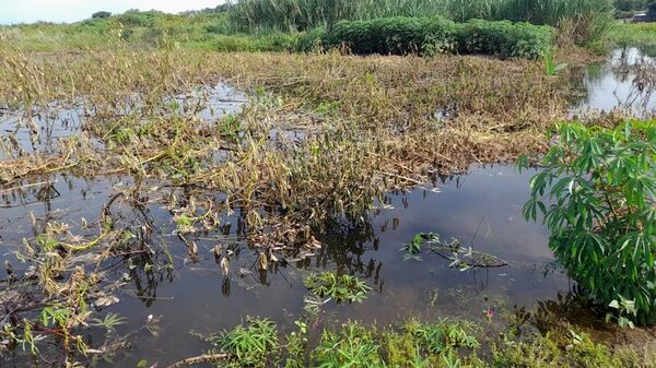 Chacreros de Fuerte Olimpo afectados por la crecida del río Paraguay - Noticias del Chaco - ABC Color