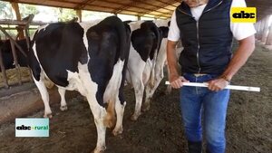 Video: presentan empresa, catálogo de toros lecheros y tecnología en reproducción  - ABC Rural - ABC Color