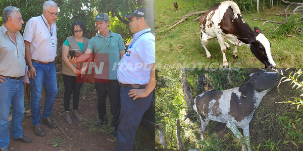 AUTORIDADES DEL SENACSA VISITARON DISTRITOS DE ITAPÚA BUSCANDO LLEGAR AL 100% DE COBERTURA VACUNATORIA - Itapúa Noticias