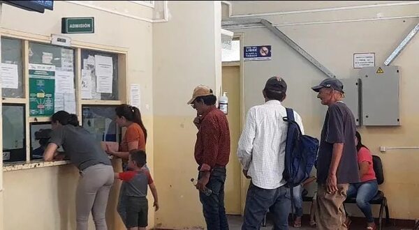 Aumento de casos de chikunguña es considerado como epidemia en Pilar - Nacionales - ABC Color