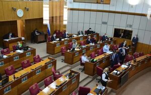 Senado aprueba ascenso de comisarios con antecedentes por “gatillo fácil” y robo de armas - Nacionales - ABC Color
