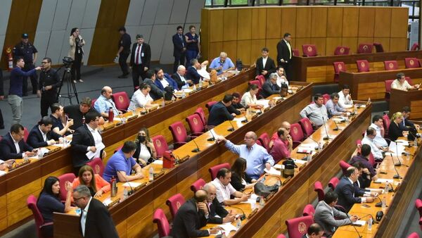 Celeste Amarilla pidió la expulsión de 31 diputados