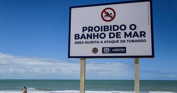 La Nación / ¡De terror! En menos de 24 horas se registraron dos ataques de tiburones en playas de Brasil