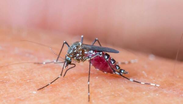 Hijo de intendente fallece como consecuencia del chikungunya