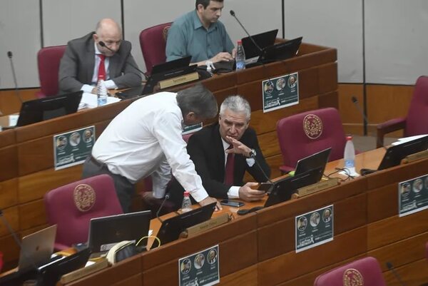 Senado hará nuevo intento para tratar millonario crédito para la AFD - Política - ABC Color