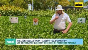Importancia de la experiencia en el uso de productos químicos y biológicos - ABC Rural - ABC Color