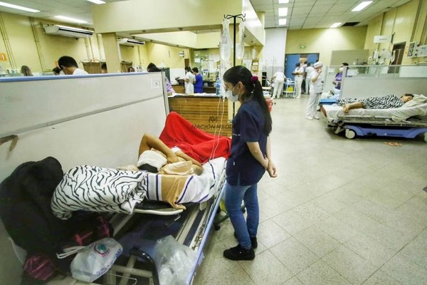 Diario HOY | Expertos vendrán al país para estudiar a la chinkungunya y sus efectos graves