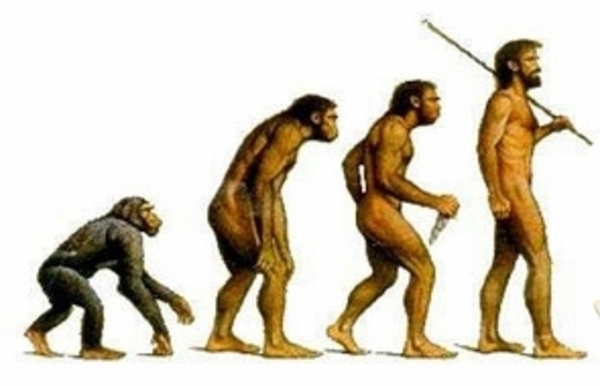 Proteínas humanas y evolución - El Independiente