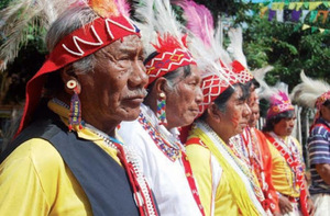 Ley de protección a pueblos originarios | 1000 Noticias