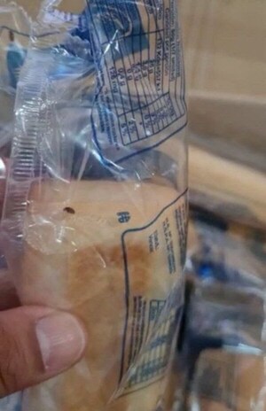 Denuncian ante Fiscalía hallazgo de insectos  en almuerzo escolar.