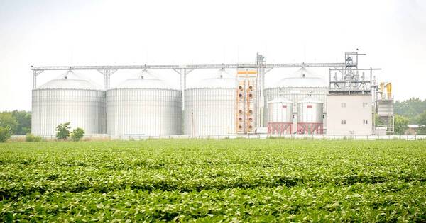 La Nación / Piden aprovechar demanda de alimentos y evitar importación de aceite crudo