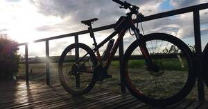 La Nación / ¡Ofreció hasta su gallina! Madre sueña con comprarle una bici a su hija