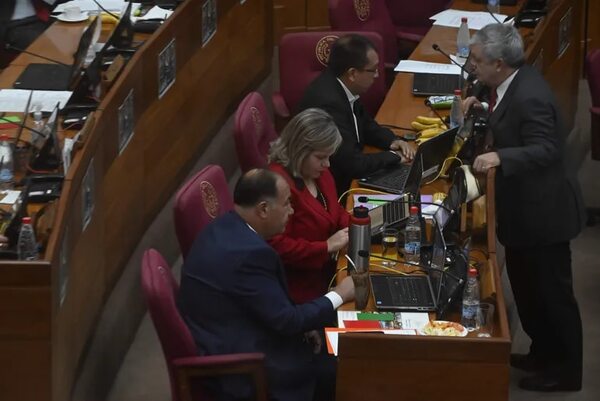 Senado da media sanción a préstamo de US$ 30 millones para AFD - Política - ABC Color
