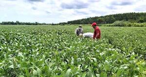 La Nación / “El mejor proyecto para potenciar al sector del agro es el de la ANR”