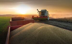 Buenos precios y mejores condiciones climáticas, factores determinantes para la recuperación del agro en 2023 - MarketData