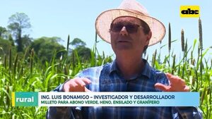 Video: Milleto o Milheto como disponibilizador de nutrientes gracias a penetración de raíces - ABC Rural - ABC Color