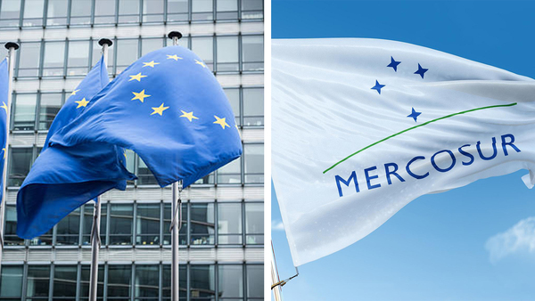 Las ONG denuncian opacidad en negociación de anexo al pacto UE-Mercosur - Revista PLUS