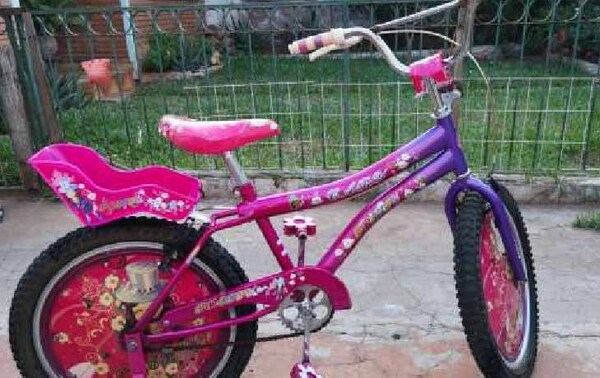 ¡Ofreció hasta su gallina! Madre sueña con comprarle una bici a su hija – Prensa 5