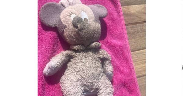 La Nación / Búsqueda de peluche de apego generó debate en redes