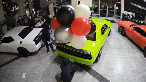 Diario HOY | VIDEO- Robo de película: delincuentes se llevan autos de lujo en 40 segundos