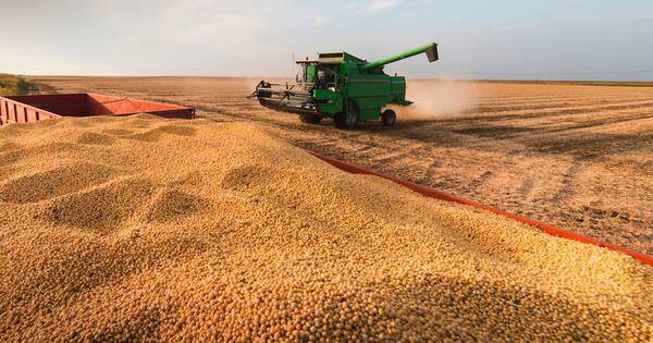La Nación / USDA prevé crecimiento de exportaciones de soja paraguaya