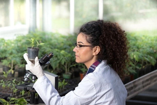 Impulsan producción agrícola con USD 15 millones y lanzan proyecto de inclusión económica para mujeres - MarketData