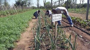 Escuelas agrícolas recuperan presupuesto que MAG pretendía recortar - Economía - ABC Color