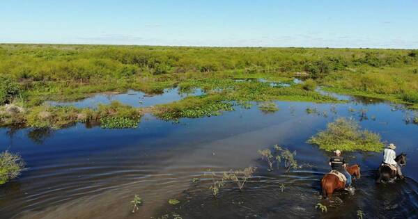 La Nación / Las precipitaciones caídas en el Chaco alivian