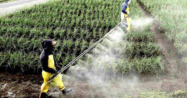 La Nación / IICA busca incluir uso de bioplaguicidas
