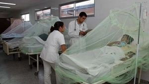 ¡Preocupante! Registran más de 12.000 consultas diarias por cuadros de chikungunya - Noticias Paraguay