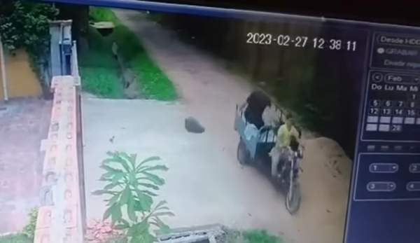 (Video). Ofrecen plata por identidad de “puercos” que tiran basura en la calle