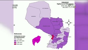 Chikungunya en Paraguay: Estudian la mutación del virus - SNT