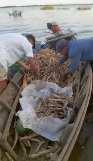 Pobladores de Cerrito sufren las consecuencias de la sequía y la crecida del río Paraná - Nacionales - ABC Color