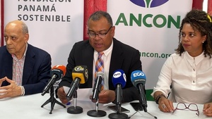 Ambientalistas de Panamá demandarán contrato con minera por inconstitucional - MarketData