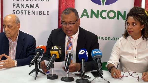 Ambientalistas de Panamá demandarán contrato con minera por inconstitucional - MarketData