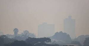 La Nación / Estudio revela que contaminación por exceso de ozono aumenta riesgos cardíacos