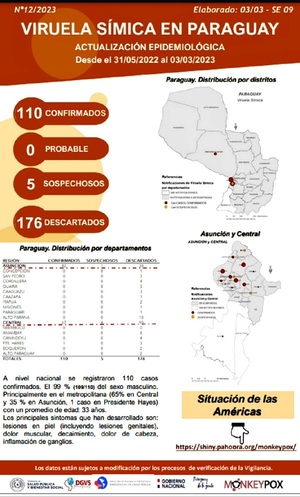 Viruela Símica: Una enfermedad causada por un virus. Más de un centenar de afectados y cinco en estudio.