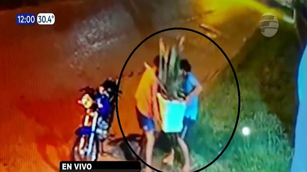 ¡El colmo de la inseguridad! Roban hasta planteras en J. Augusto Saldívar - Noticias Paraguay