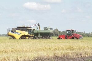 Marito visita zona de inversión y crecimiento de la producción arrocera