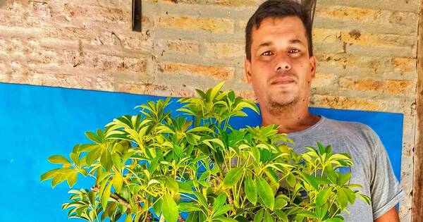 La Nación / Robert Insfrán convirtió el bonsái en una terapia para luchar contra el cáncer