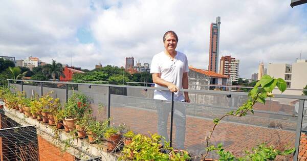 La Nación / Una arquitectura silenciosa y respetuosa del entorno