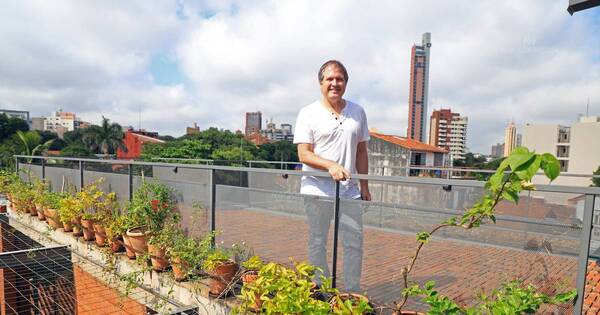 La Nación / Una arquitectura silenciosa y respetuosa del entorno