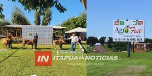 SECTOR GANADERO GANA PRESENCIA EN LA AGROFEST 2023  - Itapúa Noticias
