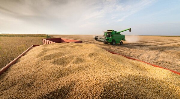 Diario HOY | Flojo inicio del 2023 augura otro año complicado para industria aceitera
